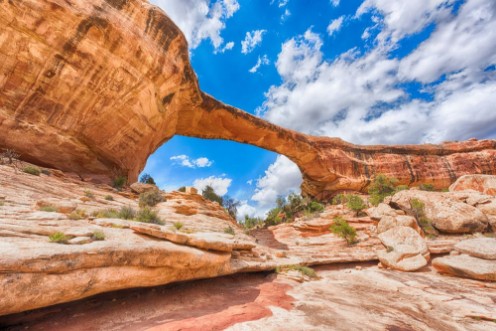 Picture of Owachomo Bridge