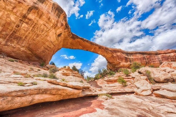 Image de Owachomo Bridge