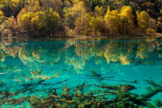 Bild von 85948752