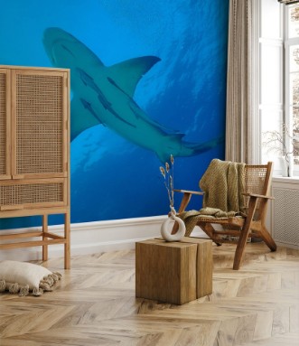 Image de Zitronenhai im blauen Wasser