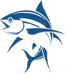 Ritratt ta’ Graphic fish tattoo style vector