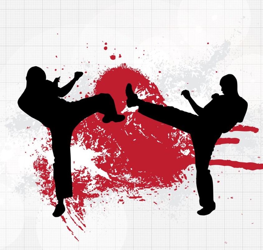Picture of Karate illustration
