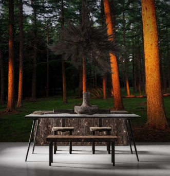 Picture of Forest with last rays of sun