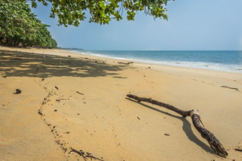 Afbeeldingen van Afrikaanse strand