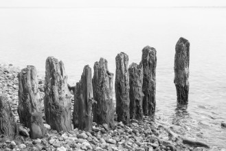 Bild på Weathered wooden groin at beach