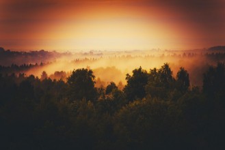 Bild von Welcome in Lesser Poland