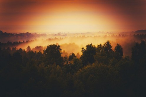 Picture of Welcome in Lesser Poland