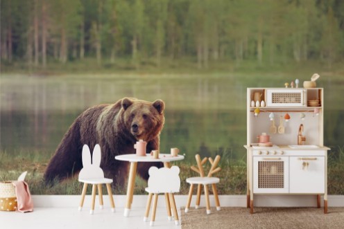 Afbeeldingen van Big brown Bear