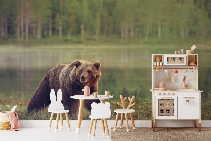 Image de Big brown Bear