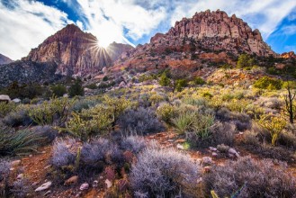Afbeeldingen van Sunset on a desert ridge in Red Rock Canyon near Las Vegas NV