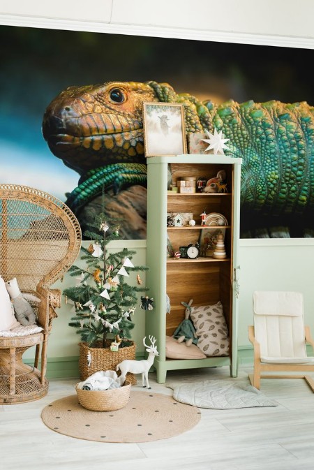 Picture of Caiman lizard