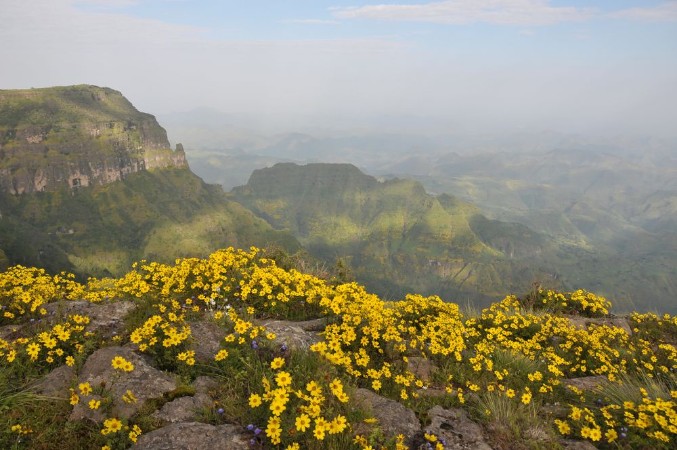 Picture of Simien mointains park