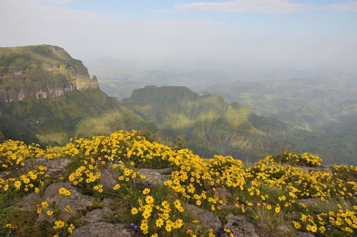 Image de Simien mointains park