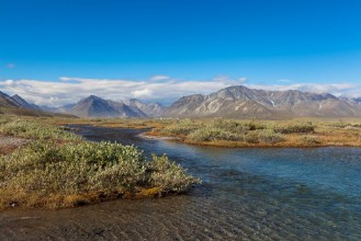 Afbeeldingen van Colorful tundra in front of the river and mountains Russia