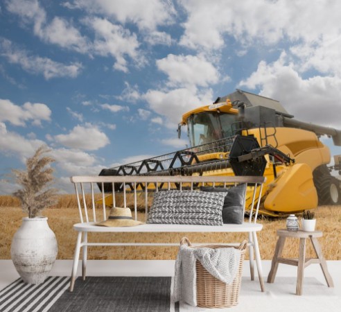 Image de Close view of modern combine harvester in action