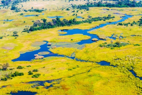 Picture of Botswana Delta