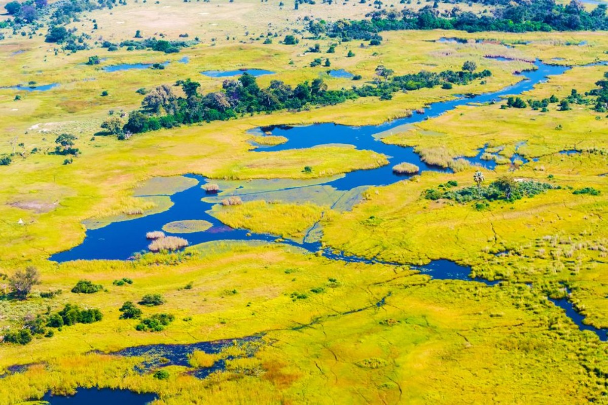 Image de Delta du Botswana