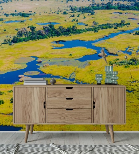 Picture of Botswanas delta