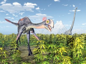 Image de The dinosaurs Gigantoraptor and Mamenchisaurus