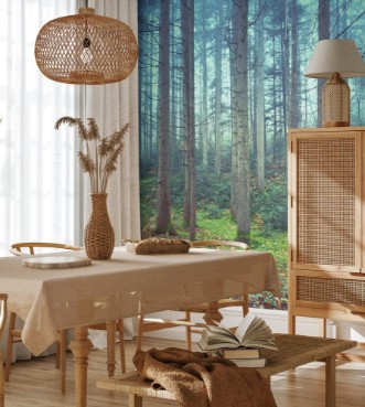 Picture of Beautiful colorful autumnal coniferous forest trees Picture was taken in south east Slovenia