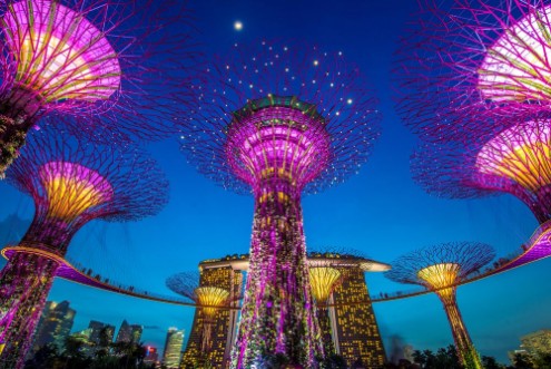 Afbeeldingen van Supertrees at Gardens by the Bay