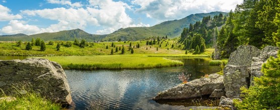 Image de Idyllic summer landscape