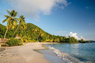 Pilt Plage de lanse Figuier  la Martinique