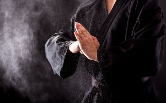 Εικόνα της Closeup of male karate fighter hands
