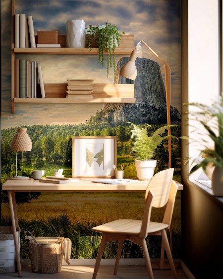 Picture of Devils Tower - the Other Side