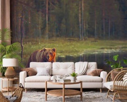 Image de Brown bear at sunset