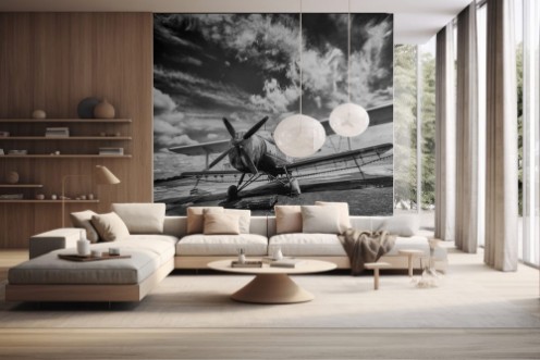 Afbeeldingen van Old airplane on field in black and white