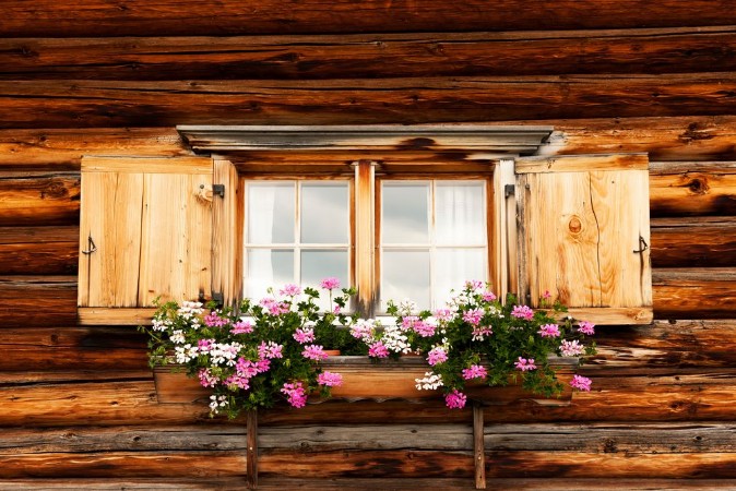 Picture of Blumenfenster auf der Alm