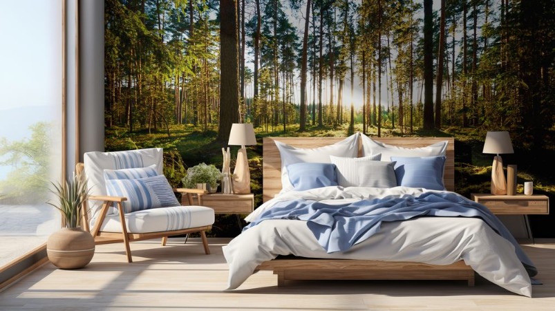 Image de Sunrise in pine forest