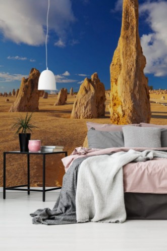 Picture of The Pinnacles