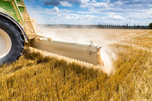 Afbeeldingen van Liming