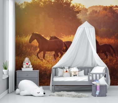 Afbeeldingen van Horse