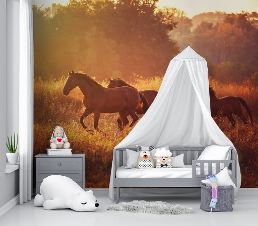 Afbeeldingen van Horse