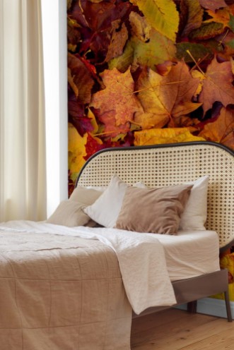 Bild på Fall colors 