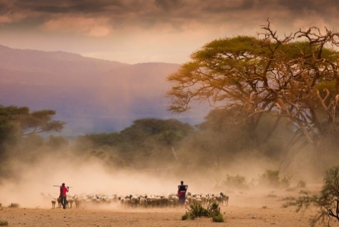 Picture of Kenyan Masai Tribe