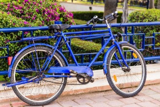 Bild von Bicycle in park