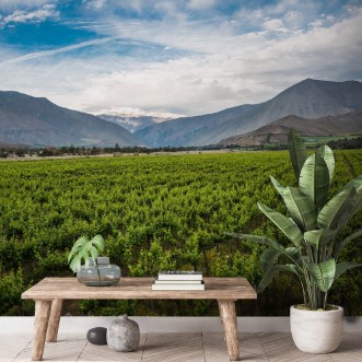 Afbeeldingen van Spring Vineyard Elqui Valley Andes Chile