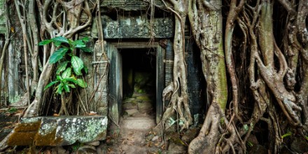 Bild på Ancient stone door and tree roots Ta Prohm temple