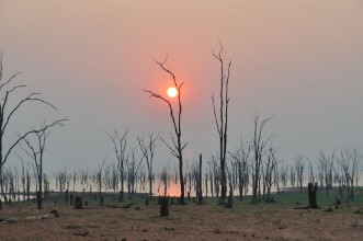Bild på Lake Kariba Morgenstimmung