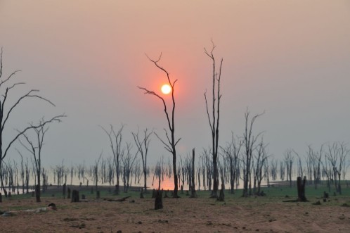 Picture of Lake Kariba Morgenstimmung