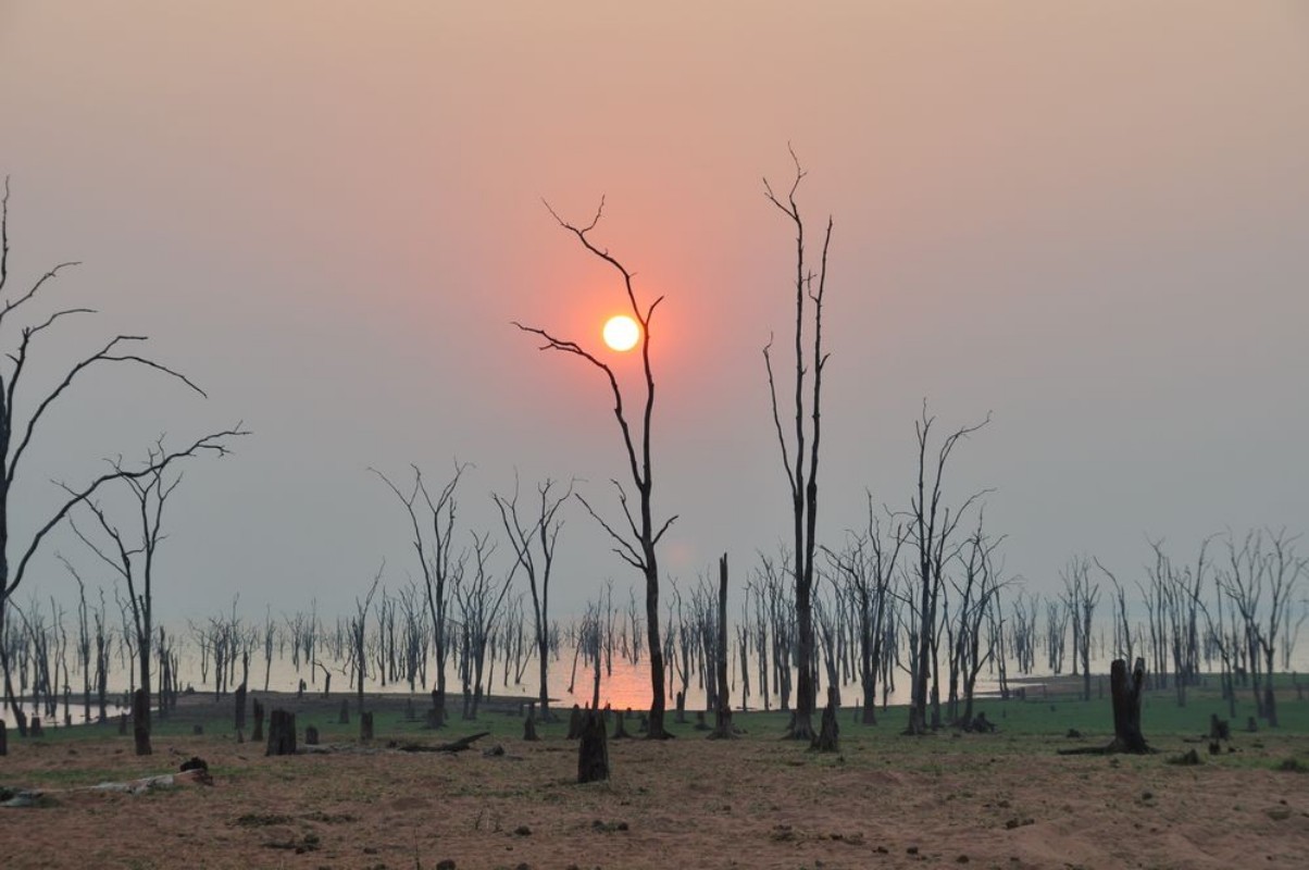 Picture of Lake Kariba Morgenstimmung