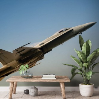 Afbeeldingen van The armed conflict