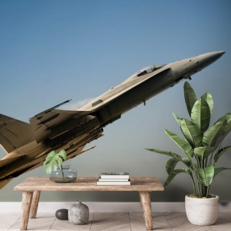 The armed conflict paveikslėlis