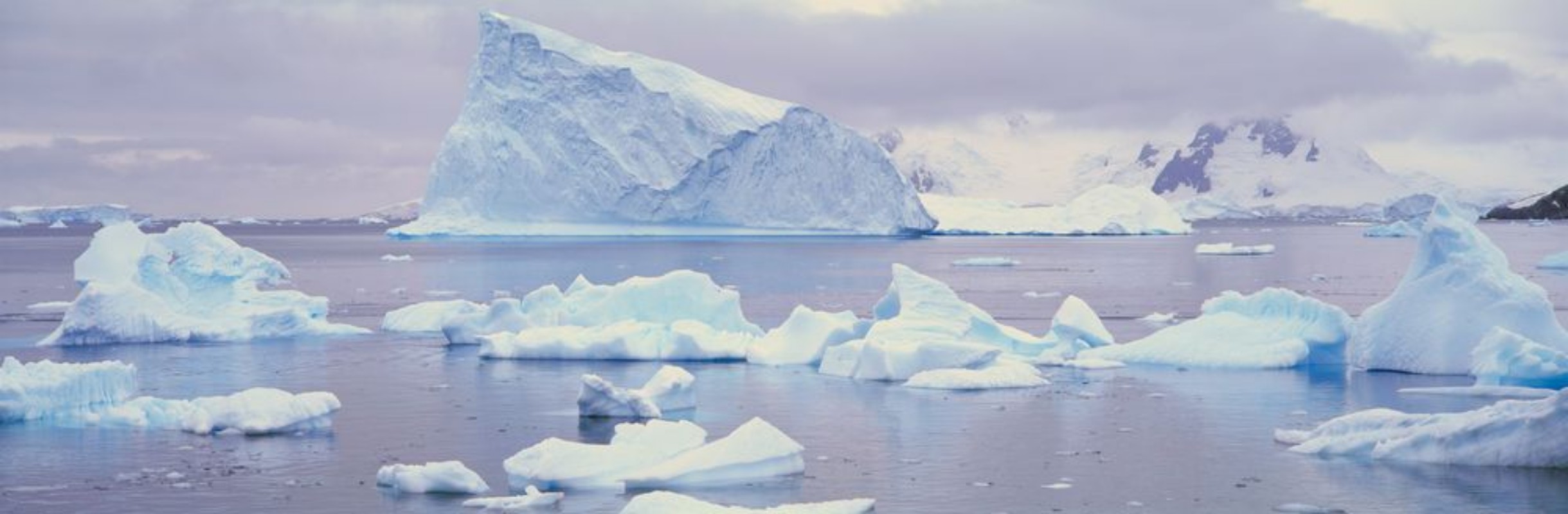 Afbeeldingen van Panoramic view of glaciers and icebergs in Paradise Harbor Antarctica