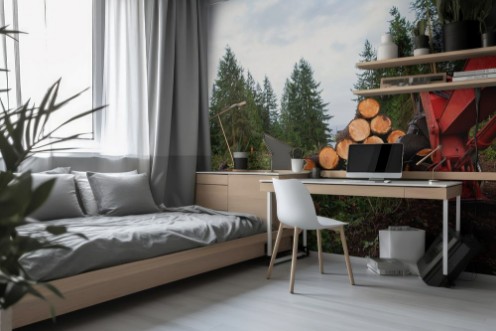 Picture of Trees chopped and stacked