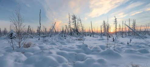 Afbeeldingen van Wintertoendra
